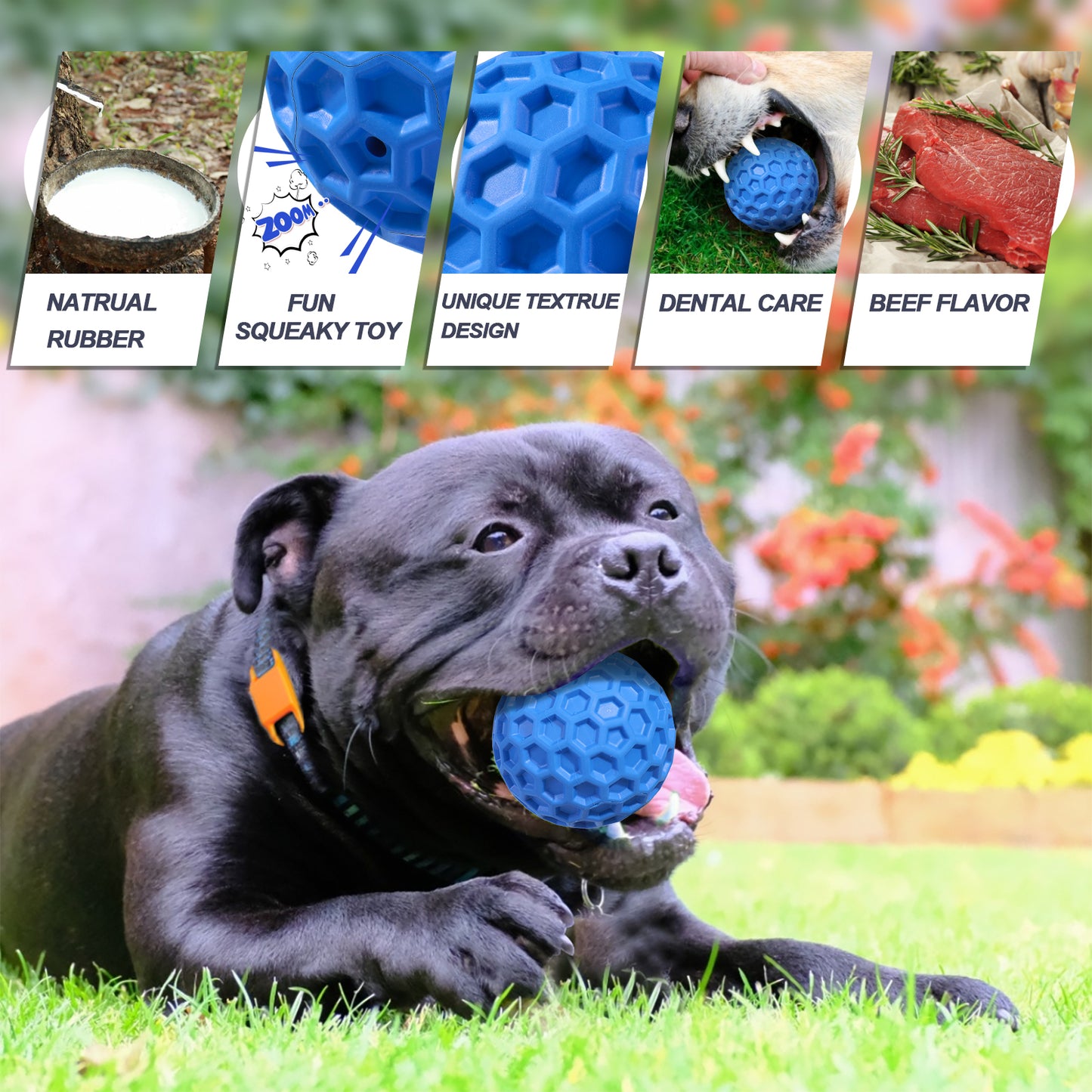 Squeaky Dog Balls, Indestructible Dog Toys for Aggressive Chewers Large/Medium Breed, Natural Rubber Interactive Chew Toys for Teeth Clean, Relieves Anxiety (Blue)